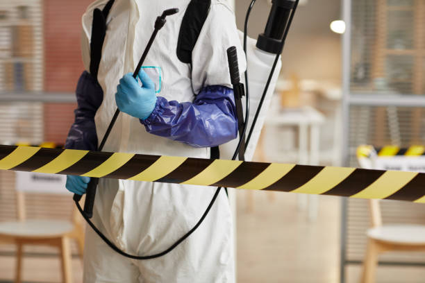 Professional Sewage Cleanup technician working in Renault, IL