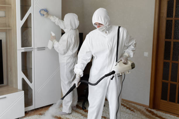 Trusted Hoarding Cleanup service in Renault, IL - Four Month Blood Cleanse